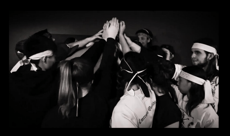 Emerson College Quidditch needs YOUR help! 